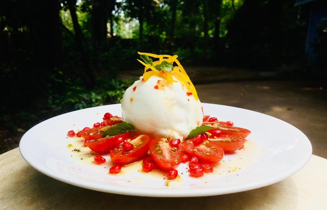 Solo Inn Kochi Екстериор снимка